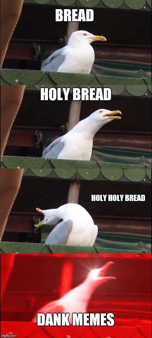 Inhaling Seagull Meme | BREAD HOLY BREAD HOLY HOLY BREAD DANK MEMES | image tagged in memes,inhaling seagull | made w/ Imgflip meme maker