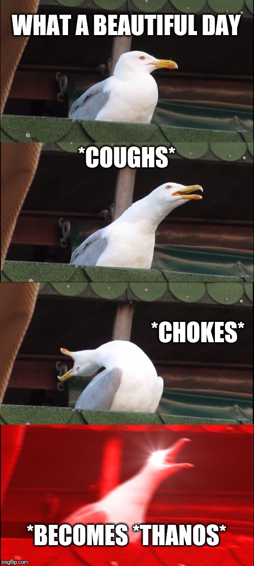 Inhaling Seagull | WHAT A BEAUTIFUL DAY; *COUGHS*; *CHOKES*; *BECOMES *THANOS* | image tagged in memes,inhaling seagull | made w/ Imgflip meme maker