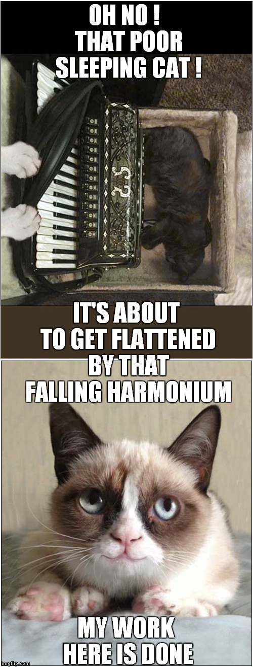 Grumpy hears Sweet, Sweet Music | OH NO !  THAT POOR SLEEPING CAT ! IT'S ABOUT TO GET FLATTENED BY THAT FALLING HARMONIUM; MY WORK HERE IS DONE | image tagged in cats,grumpy cat | made w/ Imgflip meme maker
