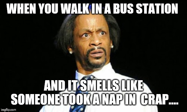 Cat crap nap | WHEN YOU WALK IN A BUS STATION; AND IT SMELLS LIKE SOMEONE TOOK A NAP IN  CRAP.... | image tagged in funny memes,memes,crappy memes | made w/ Imgflip meme maker