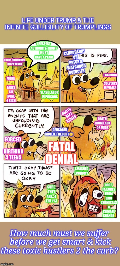 Fire Dog | LIFE UNDER TRUMP, & THE INFINITE GULLIBILITY OF TRUMPLINGS How much must we suffer before we get smart & kick these toxic hustlers 2 the cur | image tagged in fire dog | made w/ Imgflip meme maker