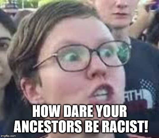 SJW | HOW DARE YOUR ANCESTORS BE RACIST! | image tagged in sjw | made w/ Imgflip meme maker