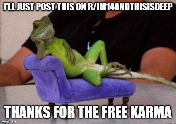 Sassy Iguana Meme | I'LL JUST POST THIS ON R/IM14ANDTHISISDEEP THANKS FOR THE FREE KARMA | image tagged in memes,sassy iguana | made w/ Imgflip meme maker