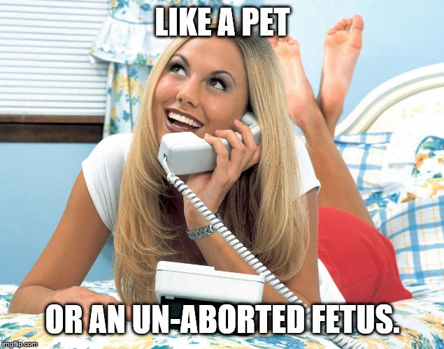 LIKE A PET OR AN UN-ABORTED FETUS. | made w/ Imgflip meme maker