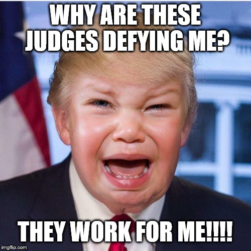 WHY ARE THESE JUDGES DEFYING ME? THEY WORK FOR ME!!!! | made w/ Imgflip meme maker