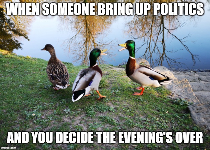Ducks having an argument | WHEN SOMEONE BRING UP POLITICS; AND YOU DECIDE THE EVENING'S OVER | image tagged in ducks having an argument | made w/ Imgflip meme maker