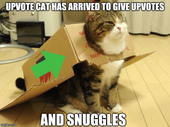 UPVOTE CAT HAS ARRIVED TO GIVE UPVOTES AND SNUGGLES | made w/ Imgflip meme maker