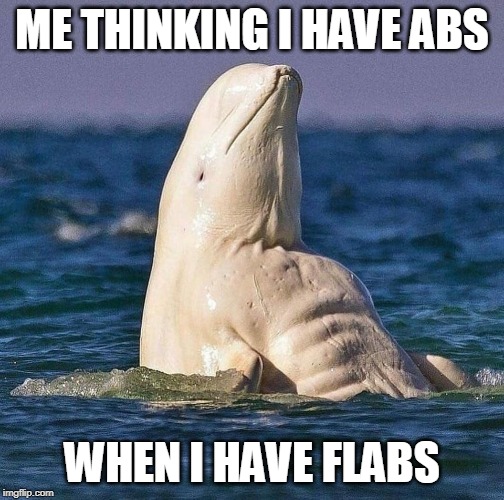 After I "work out" for 15 minutes | ME THINKING I HAVE ABS; WHEN I HAVE FLABS | image tagged in excercise,abs | made w/ Imgflip meme maker