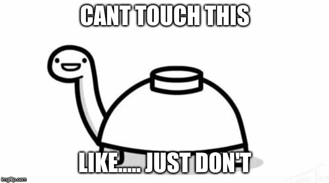 Mine Turtle | CANT TOUCH THIS; LIKE..... JUST DON'T | image tagged in mine turtle | made w/ Imgflip meme maker