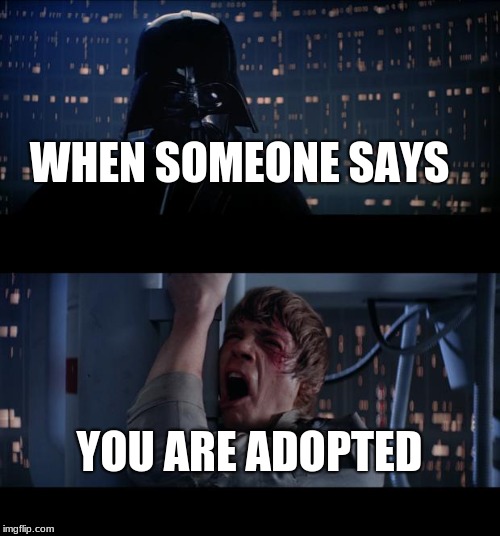 Star Wars No Meme | WHEN SOMEONE SAYS; YOU ARE ADOPTED | image tagged in memes,star wars no | made w/ Imgflip meme maker