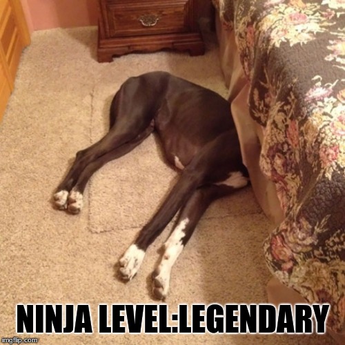 NINJA LEVEL:LEGENDARY | made w/ Imgflip meme maker