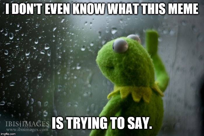 kermit window | I DON'T EVEN KNOW WHAT THIS MEME IS TRYING TO SAY. | image tagged in kermit window | made w/ Imgflip meme maker