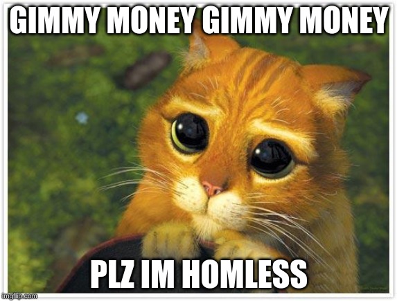 Shrek Cat Meme | GIMMY MONEY GIMMY MONEY; PLZ IM HOMLESS | image tagged in memes,shrek cat | made w/ Imgflip meme maker