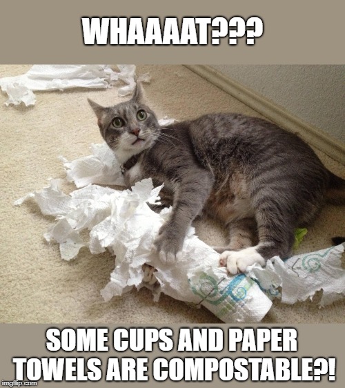 Surprised cat - cups are compostable | WHAAAAT??? SOME CUPS AND PAPER TOWELS ARE COMPOSTABLE?! | image tagged in cat,surprised cat,recycling,recycle | made w/ Imgflip meme maker
