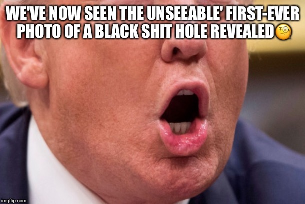 The Black Hole | WE'VE NOW SEEN THE UNSEEABLE' FIRST-EVER PHOTO OF A BLACK SHIT HOLE REVEALED🧐 | image tagged in the black hole,shit hole,donald trump,lol,yuge | made w/ Imgflip meme maker