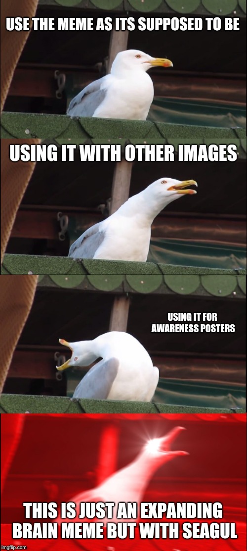 inhaling seagull |  USE THE MEME AS ITS SUPPOSED TO BE; USING IT WITH OTHER IMAGES; USING IT FOR AWARENESS POSTERS; THIS IS JUST AN EXPANDING BRAIN MEME BUT WITH SEAGUL | image tagged in memes,inhaling seagull,expanding brain,funny memes,dank memes,hilarious memes | made w/ Imgflip meme maker