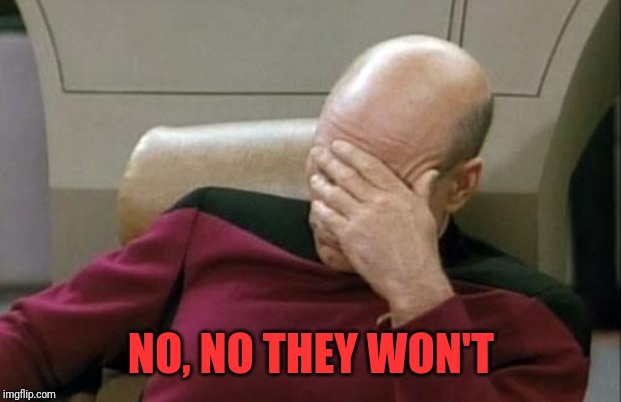 Captain Picard Facepalm Meme | NO, NO THEY WON'T | image tagged in memes,captain picard facepalm | made w/ Imgflip meme maker