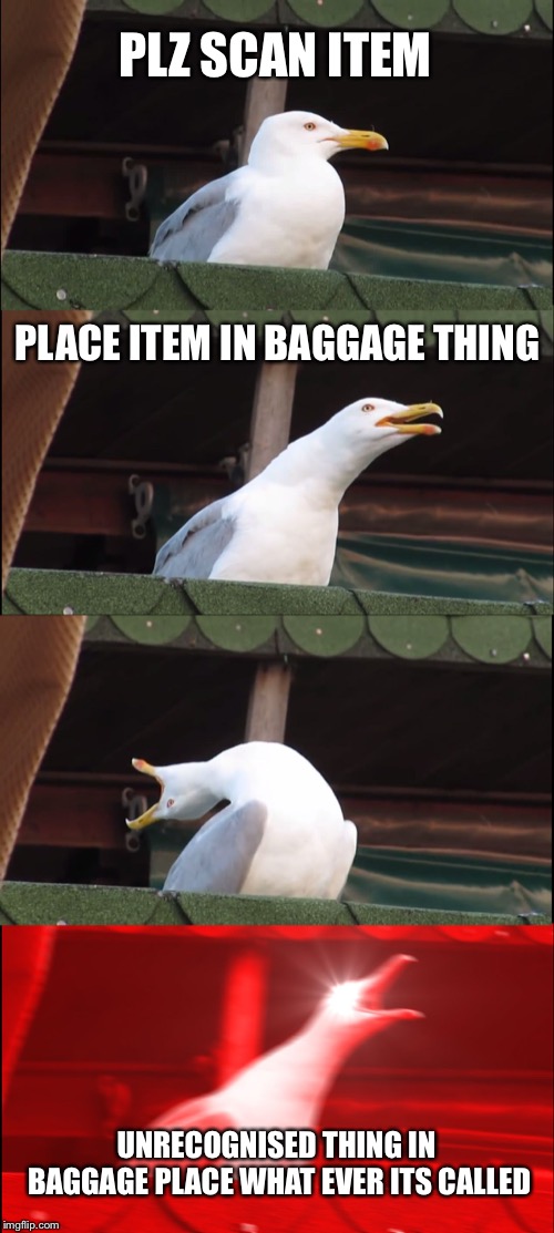 Inhaling Seagull Meme | PLZ SCAN ITEM; PLACE ITEM IN BAGGAGE THING; UNRECOGNISED THING IN BAGGAGE PLACE WHAT EVER ITS CALLED | image tagged in memes,inhaling seagull | made w/ Imgflip meme maker