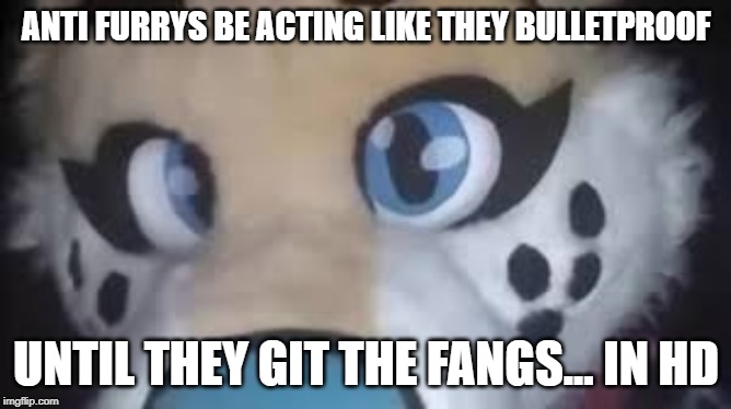 anti-furrys be like | ANTI FURRYS BE ACTING LIKE THEY BULLETPROOF; UNTIL THEY GIT THE FANGS... IN HD | image tagged in furry | made w/ Imgflip meme maker