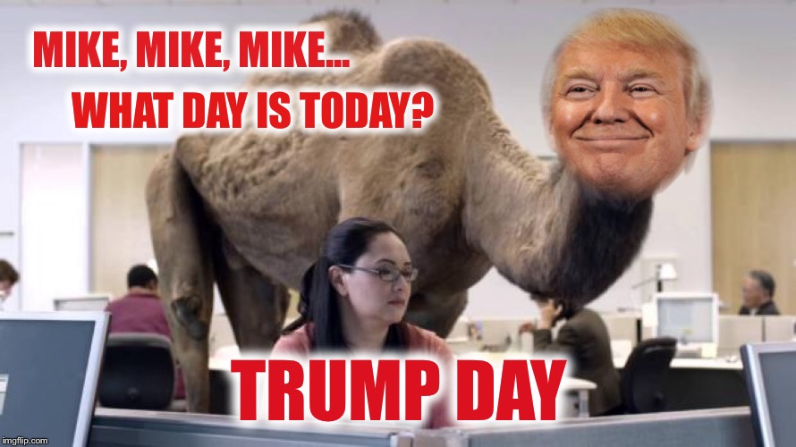 Public Service Announcement:  Just a reminder | MIKE, MIKE, MIKE... WHAT DAY IS TODAY? TRUMP DAY | image tagged in hump day,trump,public service announcement | made w/ Imgflip meme maker
