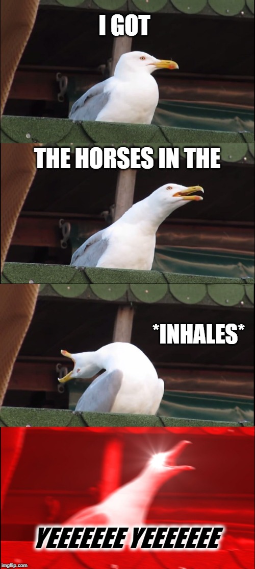 Inhaling Seagull | I GOT; THE HORSES IN THE; *INHALES*; YEEEEEEE YEEEEEEE | image tagged in memes,inhaling seagull | made w/ Imgflip meme maker