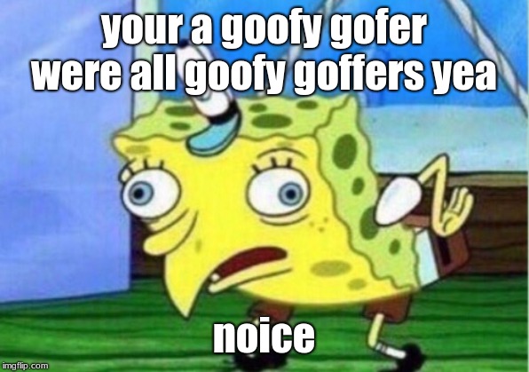 Mocking Spongebob | your a goofy gofer were all goofy goffers yea; noice | image tagged in memes,mocking spongebob | made w/ Imgflip meme maker