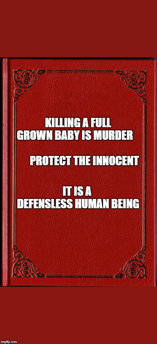 blank book | KILLING A FULL GROWN BABY IS MURDER                               PROTECT THE INNOCENT; IT IS A DEFENSLESS HUMAN BEING | image tagged in blank book | made w/ Imgflip meme maker