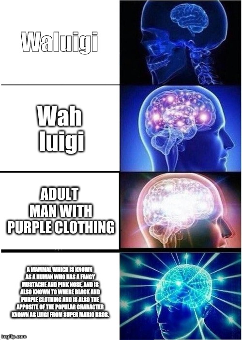 Expanding Brain | Waluigi; Wah luigi; ADULT MAN WITH PURPLE CLOTHING; A MAMMAL WHICH IS KNOWN AS A HUMAN WHO HAS A FANCY MUSTACHE AND PINK NOSE, AND IS ALSO KNOWN TO WHERE BLACK AND PURPLE CLOTHING AND IS ALSO THE APPOSITE OF THE POPULAR CHARACTER KNOWN AS LUIGI FROM SUPER MARIO BROS. | image tagged in memes,expanding brain | made w/ Imgflip meme maker