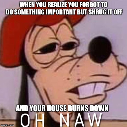Only you can prevent house fires | WHEN YOU REALIZE YOU FORGOT TO DO SOMETHING IMPORTANT BUT SHRUG IT OFF; AND YOUR HOUSE BURNS DOWN | image tagged in oh naw | made w/ Imgflip meme maker