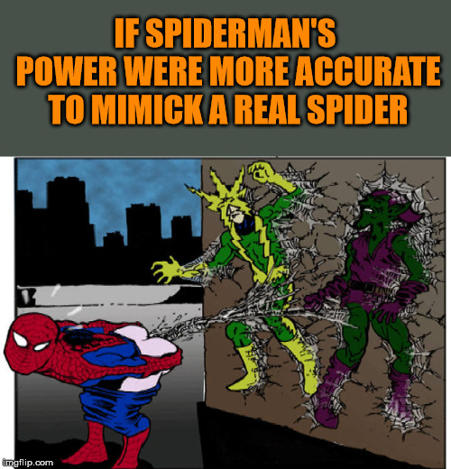 Spiderman more accurately portrayed | IF SPIDERMAN'S POWER WERE MORE ACCURATE TO MIMICK A REAL SPIDER | image tagged in spiderman,superheroes | made w/ Imgflip meme maker