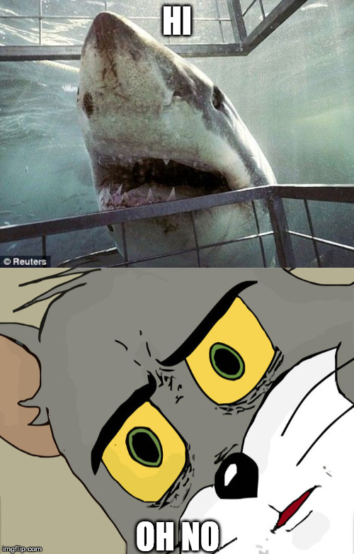 HI; OH NO | image tagged in jaws,memes,unsettled tom | made w/ Imgflip meme maker