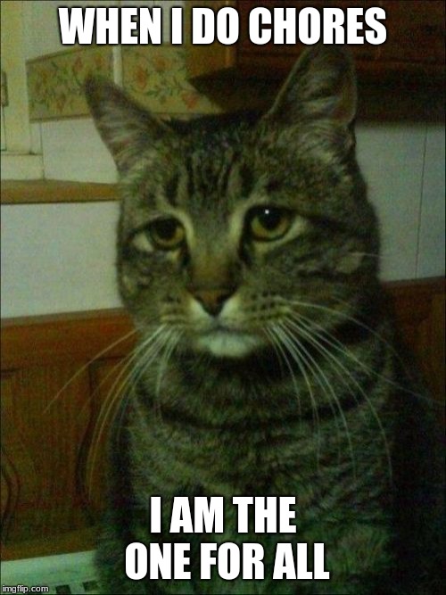 Depressed Cat Meme | WHEN I DO CHORES; I AM THE ONE FOR ALL | image tagged in memes,depressed cat | made w/ Imgflip meme maker