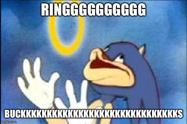 Sonic derp | RINGGGGGGGGGG; BUCKKKKKKKKKKKKKKKKKKKKKKKKKKKKKKS | image tagged in sonic derp | made w/ Imgflip meme maker