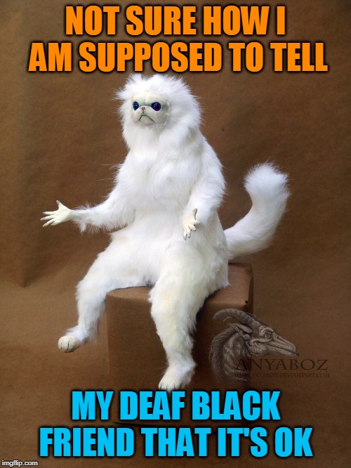 Persian Cat Room Guardian Single Meme | NOT SURE HOW I AM SUPPOSED TO TELL; MY DEAF BLACK FRIEND THAT IT'S OK | image tagged in memes,persian cat room guardian single | made w/ Imgflip meme maker