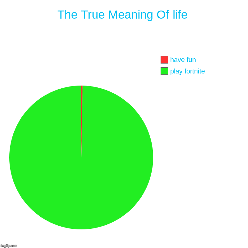 The True Meaning Of life | play fortnite, have fun | image tagged in charts,pie charts | made w/ Imgflip chart maker