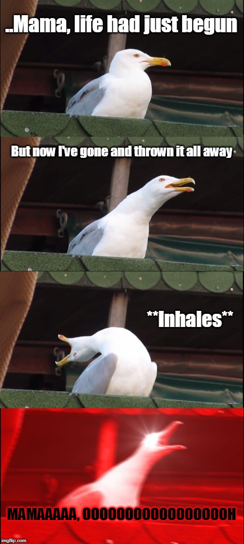 Inhaling Seagull Meme | ..Mama, life had just begun; But now I've gone and thrown it all away; **Inhales**; MAMAAAAA, OOOOOOOOOOOOOOOOOH | image tagged in memes,inhaling seagull | made w/ Imgflip meme maker