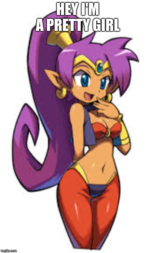 shantae is so hot |  HEY I'M A PRETTY GIRL | image tagged in hot girls,cute | made w/ Imgflip meme maker