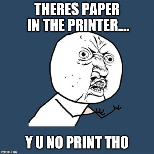 Y U No Meme | THERES PAPER IN THE PRINTER.... Y U NO PRINT THO | image tagged in memes,y u no | made w/ Imgflip meme maker