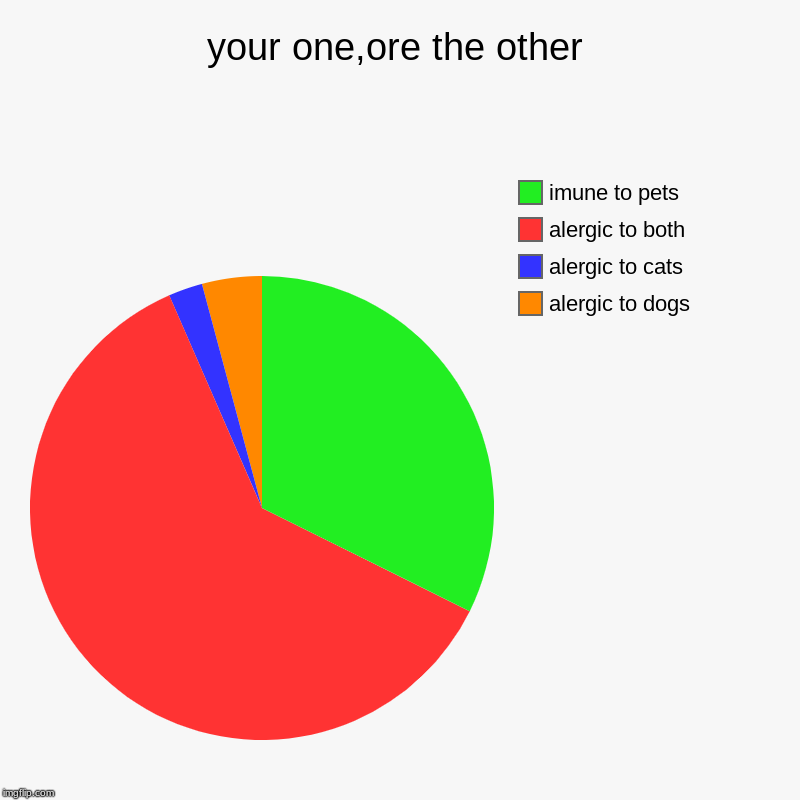 your one,ore the other | alergic to dogs, alergic to cats, alergic to both, imune to pets | image tagged in charts,pie charts | made w/ Imgflip chart maker