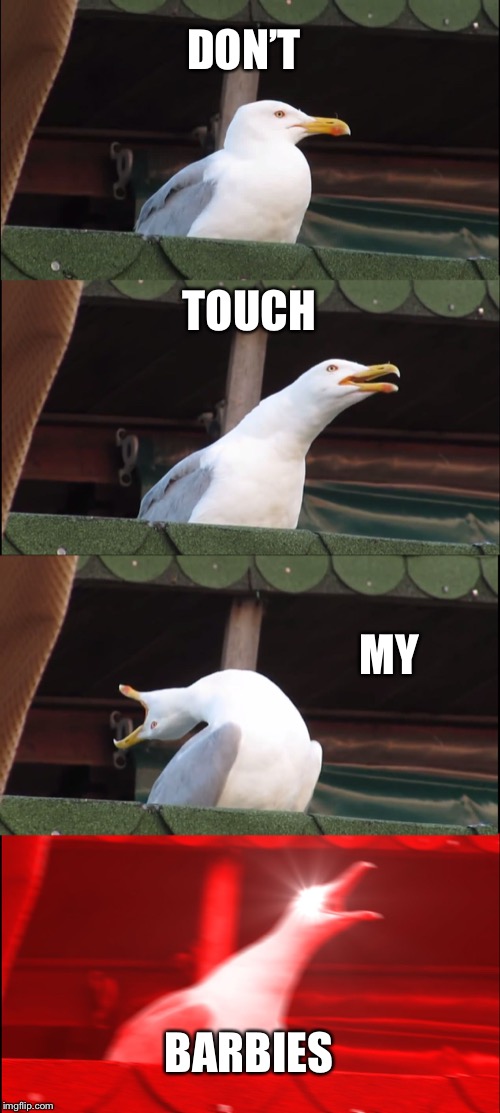 Inhaling Seagull Meme | DON’T; TOUCH; MY; BARBIES | image tagged in memes,inhaling seagull | made w/ Imgflip meme maker