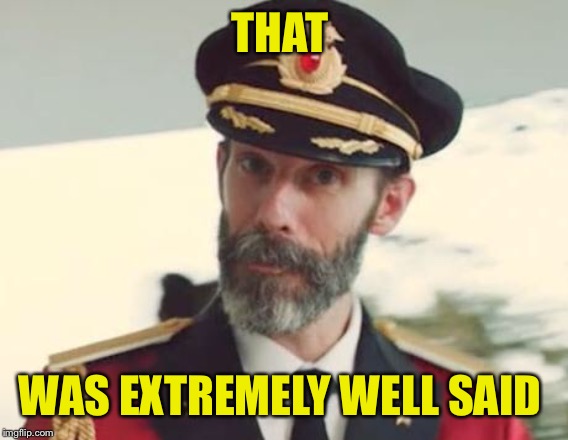 Captain Obvious | THAT WAS EXTREMELY WELL SAID | image tagged in captain obvious | made w/ Imgflip meme maker