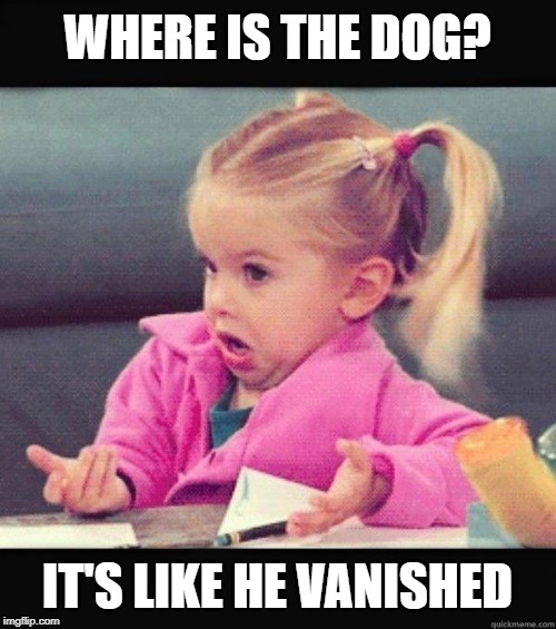 I dont know girl | WHERE IS THE DOG? IT'S LIKE HE VANISHED | image tagged in i dont know girl | made w/ Imgflip meme maker