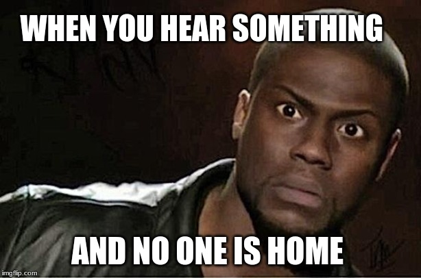 Kevin Hart | WHEN YOU HEAR SOMETHING; AND NO ONE IS HOME | image tagged in memes,kevin hart | made w/ Imgflip meme maker