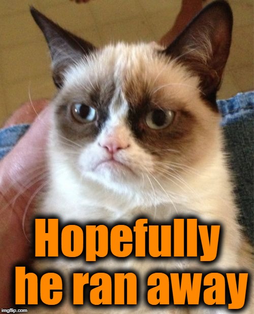 Grumpy Cat Meme | Hopefully he ran away | image tagged in memes,grumpy cat | made w/ Imgflip meme maker