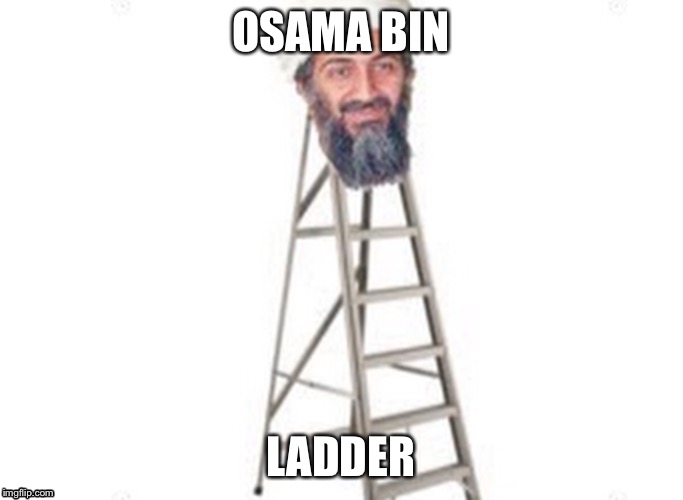 Osama bin ladder | OSAMA BIN; LADDER | image tagged in lol so funny | made w/ Imgflip meme maker