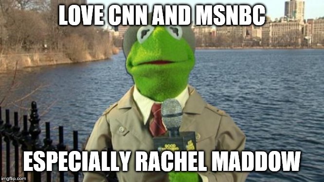 Kermit News Report | LOVE CNN AND MSNBC ESPECIALLY RACHEL MADDOW | image tagged in kermit news report | made w/ Imgflip meme maker