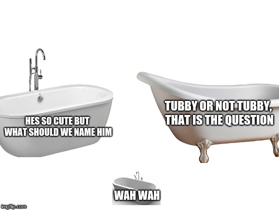 one word: telleTUBies | TUBBY OR NOT TUBBY, THAT IS THE QUESTION; HES SO CUTE BUT WHAT SHOULD WE NAME HIM; WAH WAH | image tagged in bathtub,baby | made w/ Imgflip meme maker