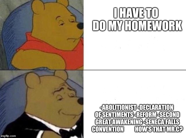Tuxedo Winnie The Pooh Meme | I HAVE TO DO MY HOMEWORK; -ABOLITIONIST
-DECLARATION OF SENTIMENTS
-REFORM
-SECOND GREAT AWAKENING
-SENECA FALLS CONVENTION









HOW'S THAT MR.C? | image tagged in tuxedo winnie the pooh | made w/ Imgflip meme maker