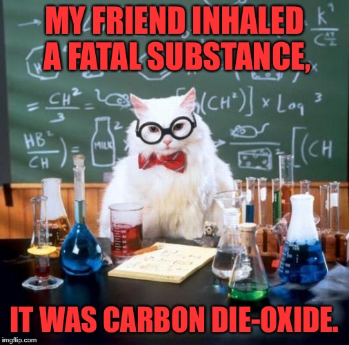 Chemistry Cat Meme | MY FRIEND INHALED A FATAL SUBSTANCE, IT WAS CARBON DIE-OXIDE. | image tagged in memes,chemistry cat | made w/ Imgflip meme maker