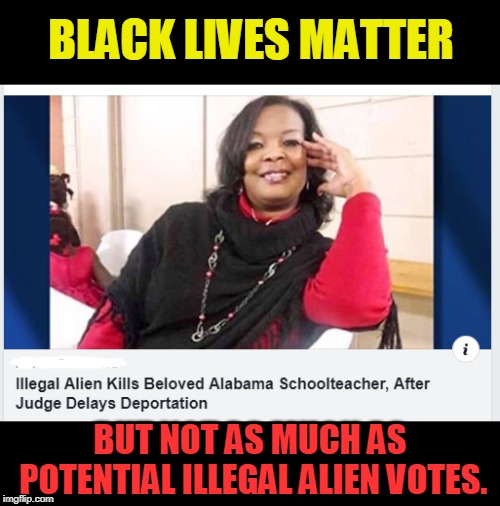 Politicians don't care, they sit in their walled mansions | BLACK LIVES MATTER; BUT NOT AS MUCH AS POTENTIAL ILLEGAL ALIEN VOTES. | image tagged in politics,black lives matter,illegal immigration | made w/ Imgflip meme maker